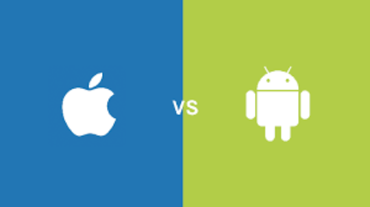 web application development